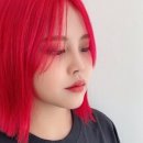헤어로그 정