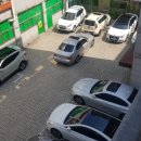 전일복싱 상무관 이미지