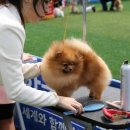광판3리 이미지