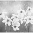 작은여우비 이미지