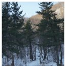 묵호항여객선터미널 이미지