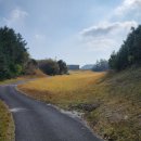 보성 에덴 컨트리클럽 이미지