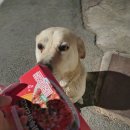 호식이두마리치킨 영천3호점 이미지