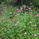 해피건강랜드 이미지