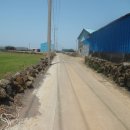 대정읍사무소 이미지