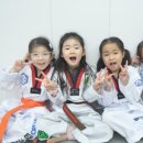 베스트성동태권도 네이버블로그