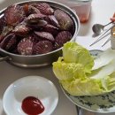 2015 송년합동공연 | 2025년 하반기 근황