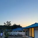 돌담과 초록 이미지