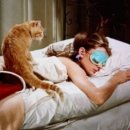 호텔티파니에서아침을 이미지