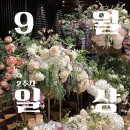 지에스(GS)25 김해삼정중앙점 | 9월 둘쨋주 일상/스키즈 앙콘 티켓팅.. 제가 해냈어요..