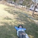 신안자연휴양림 이미지