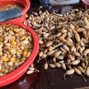 진동고현 이미지