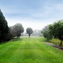 노송골프 이미지