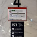 두부네 펫살롱 | [강원/강릉] 세인트존스 호텔 강아지 동반 호캉스 2 (파인 풀 자쿠지 강아지 동반 이용한 후기)