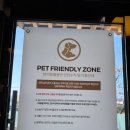 카페 파라 | 울산 중구 애견 동반 카페 파라안병영성 한옥카페 내돈내산