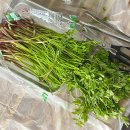 치산미나리 10호점 이미지