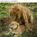 김용근기수 결산해보니. 이미지