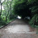 진토베기 이미지