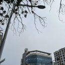 새론마음의원 | 서귀포 물리치료 도수치료 : 나를 낫게 해주는 곳은 어디일까 ?