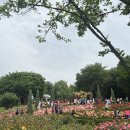 장미세차장 이미지