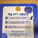 하운드광주하남 티스토리