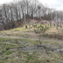 충주 행복한 농장 이미지