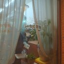 썬데이상회 이미지