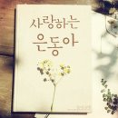 드라마2015 이미지