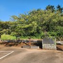 남일대해수욕장 이미지