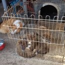 이서우체국 이미지