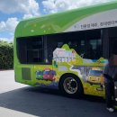 ㈜플러스제주렌트카 | 제주도 렌터카 추천 롯데렌터카 G카 패스 제주렌트카 할인 후기