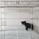 여주-0763 티스토리