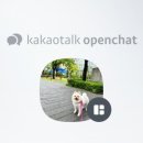 도그 윤 이미지