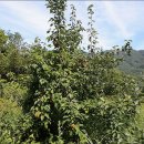 원산농장 이미지