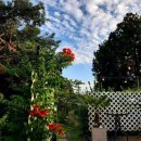 미니 쇠소깍 이미지