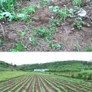 서흥농장 이미지