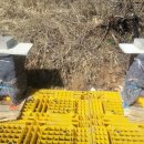 마니산 농원 이미지