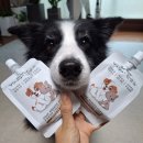 에제르펫 | 솔바람목장 강아지 산양유 고양이 펫밀크 음수량 높이는 방법