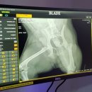 우리들동물종합병원 이미지