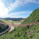 매화다리길 이미지