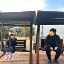 쥬라기카라반 | [인천/강화도/카라반] 쥬라기카라반 솔직후기