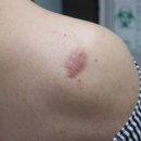 화순 미 의원 이미지