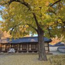 전주펜션 이미지