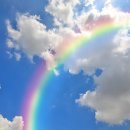 영성의료기기 이미지