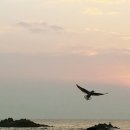 홍익태권도 이미지