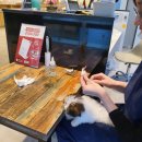 베테랑P&K 이미지