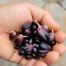 수한농장 이미지