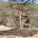 숲속 게르 하우스 이미지