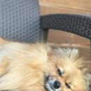 브루하하유치원 이미지