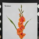 지산평생학습센터 이미지